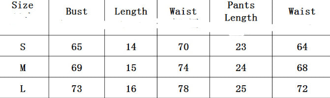 Push Up Embroidery Transparent Tempting Garter Sexy Lingerie Body Shaping Two-piece Suits