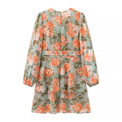 Women's Printed Bow Decorated V-neck Long Sleeve Loose Dress