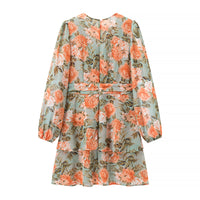 Women's Printed Bow Decorated V-neck Long Sleeve Loose Dress